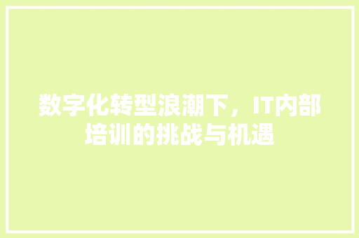 数字化转型浪潮下，IT内部培训的挑战与机遇