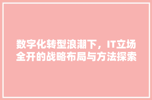 数字化转型浪潮下，IT立场全开的战略布局与方法探索