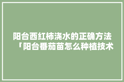 阳台西红柿浇水的正确方法「阳台番茄苗怎么种植技术视频」 阳台西红柿浇水的正确方法「阳台番茄苗怎么种植技术视频」 植物种类