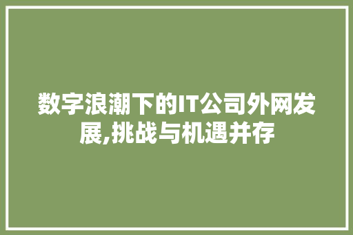 数字浪潮下的IT公司外网发展,挑战与机遇并存