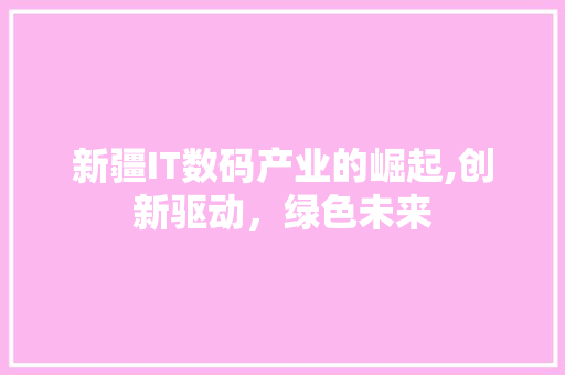 新疆IT数码产业的崛起,创新驱动，绿色未来