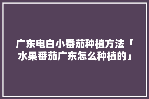 广东电白小番茄种植方法「水果番茄广东怎么种植的」 广东电白小番茄种植方法「水果番茄广东怎么种植的」 番茄病虫害防治