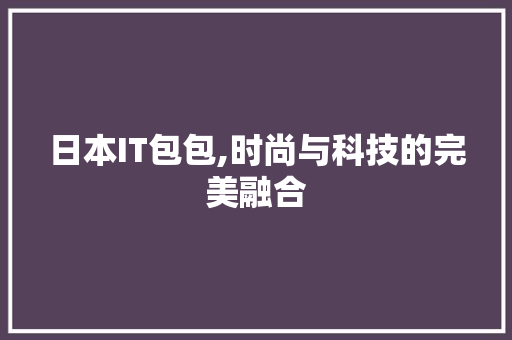 日本IT包包,时尚与科技的完美融合