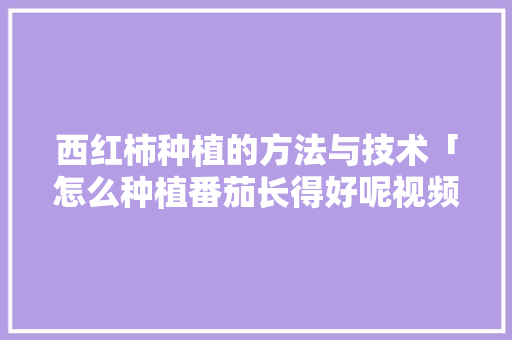 西红柿种植的方法与技术「怎么种植番茄长得好呢视频」 西红柿种植的方法与技术「怎么种植番茄长得好呢视频」 花朵知识