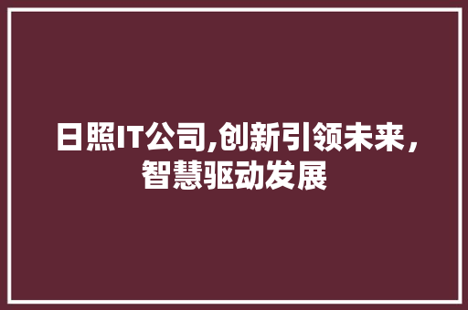 日照IT公司,创新引领未来，智慧驱动发展