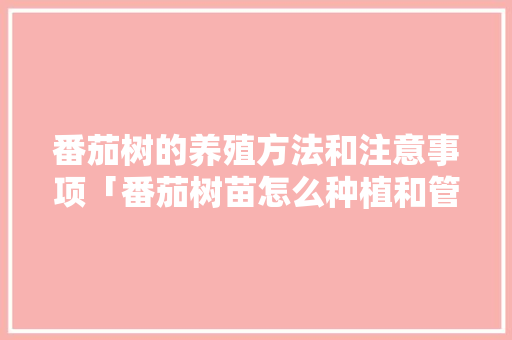 番茄树的养殖方法和注意事项「番茄树苗怎么种植和管理视频」 番茄树的养殖方法和注意事项「番茄树苗怎么种植和管理视频」 番茄种植技巧