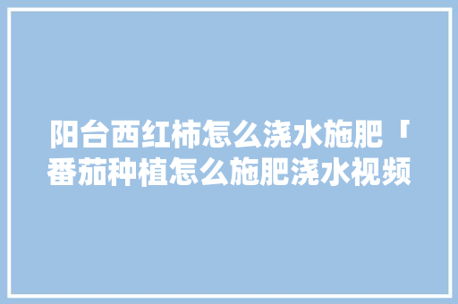 阳台西红柿怎么浇水施肥「番茄种植怎么施肥浇水视频」 阳台西红柿怎么浇水施肥「番茄种植怎么施肥浇水视频」 土壤施肥