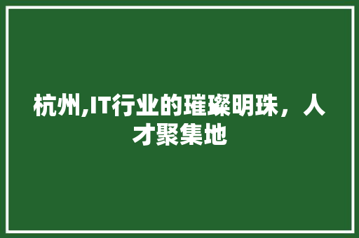 杭州,IT行业的璀璨明珠，人才聚集地