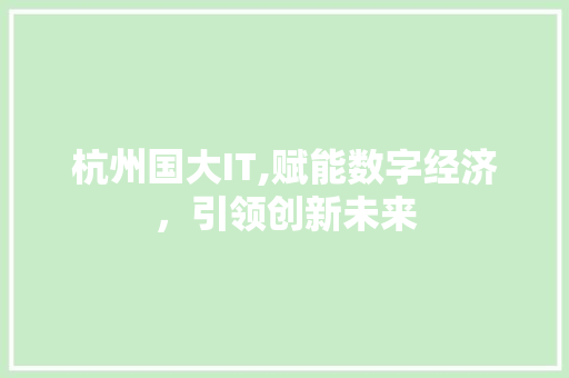 杭州国大IT,赋能数字经济，引领创新未来