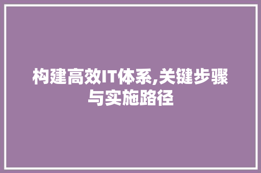 构建高效IT体系,关键步骤与实施路径