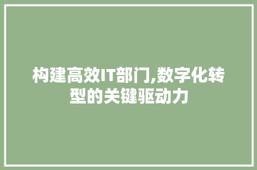 构建高效IT部门,数字化转型的关键驱动力