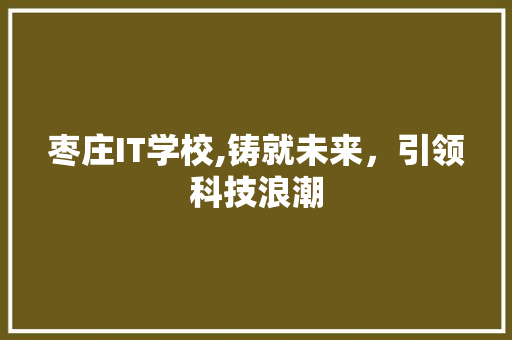 枣庄IT学校,铸就未来，引领科技浪潮