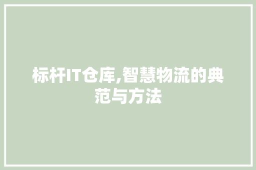 标杆IT仓库,智慧物流的典范与方法