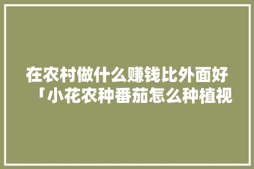 在农村做什么赚钱比外面好「小花农种番茄怎么种植视频」 种植技巧 在农村做什么赚钱比外面好「小花农种番茄怎么种植视频」 在农村做什么赚钱比外面好「小花农种番茄怎么种植视频」 种植技巧