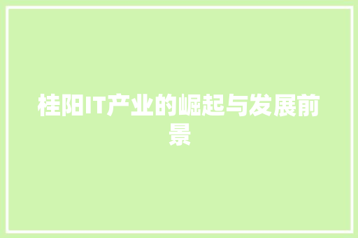 桂阳IT产业的崛起与发展前景