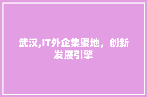 武汉,IT外企集聚地，创新发展引擎