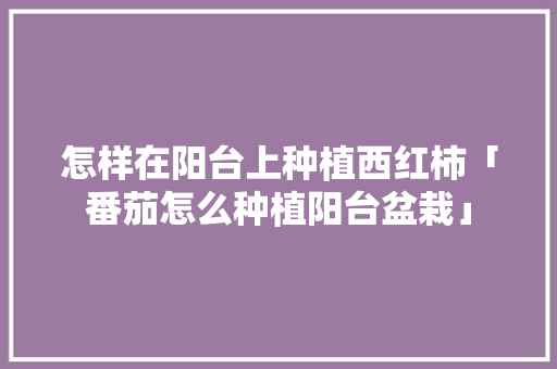 怎样在阳台上种植西红柿「番茄怎么种植阳台盆栽」 怎样在阳台上种植西红柿「番茄怎么种植阳台盆栽」 种植技巧