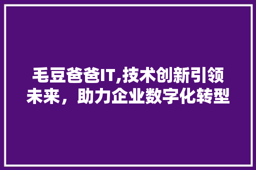 毛豆爸爸IT,技术创新引领未来，助力企业数字化转型