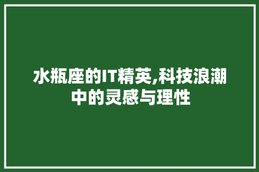 水瓶座的IT精英,科技浪潮中的灵感与理性