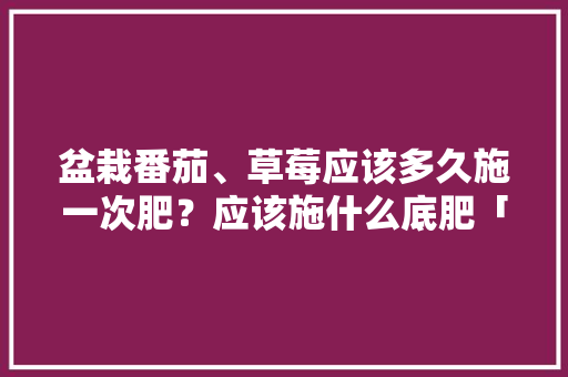 盆栽番茄、草莓应该多久施一次肥?应该施什么底肥「番茄草莓怎么种植呀视频教程」 种植技巧 盆栽番茄、草莓应该多久施一次肥?应该施什么底肥「番茄草莓怎么种植呀视频教程」 盆栽番茄、草莓应该多久施一次肥?应该施什么底肥「番茄草莓怎么种植呀视频教程」 种植技巧