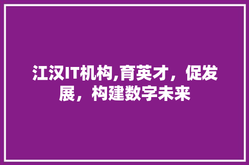江汉IT机构,育英才，促发展，构建数字未来