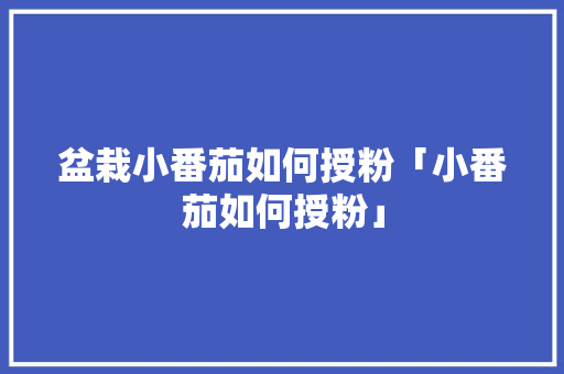 盆栽小番茄如何授粉「小番茄如何授粉」 盆栽小番茄如何授粉「小番茄如何授粉」 种植技巧
