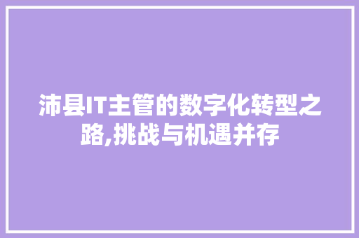 沛县IT主管的数字化转型之路,挑战与机遇并存