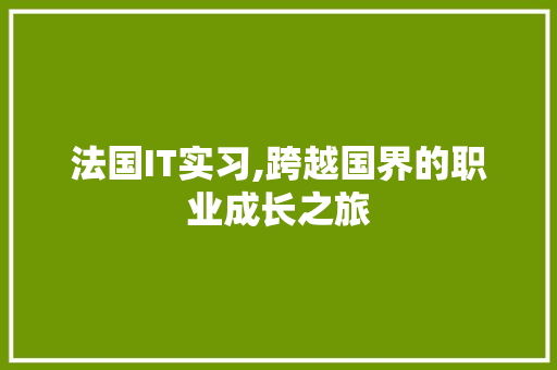 法国IT实习,跨越国界的职业成长之旅