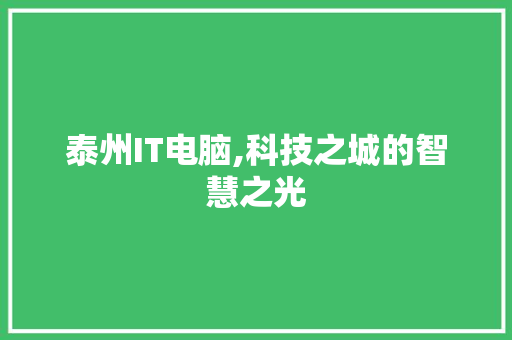 泰州IT电脑,科技之城的智慧之光