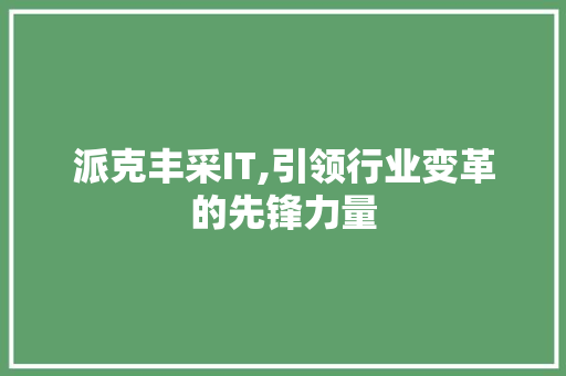 派克丰采IT,引领行业变革的先锋力量