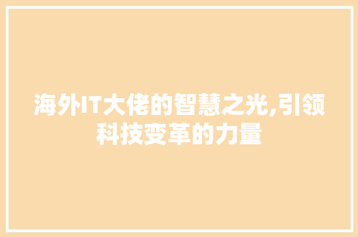 海外IT大佬的智慧之光,引领科技变革的力量