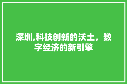 深圳,科技创新的沃土，数字经济的新引擎
