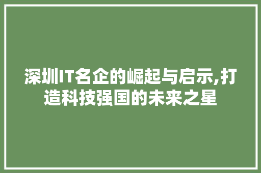 深圳IT名企的崛起与启示,打造科技强国的未来之星
