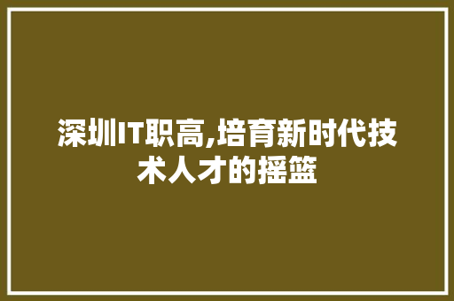 深圳IT职高,培育新时代技术人才的摇篮