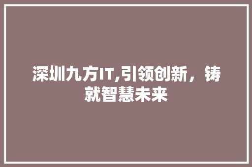 深圳九方IT,引领创新，铸就智慧未来