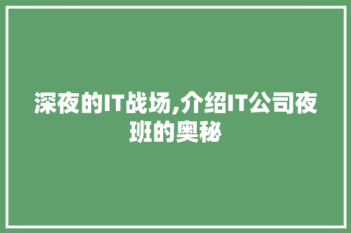 深夜的IT战场,介绍IT公司夜班的奥秘