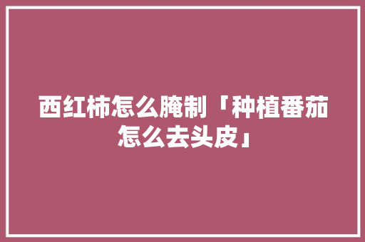 西红柿怎么腌制「种植番茄怎么去头皮」