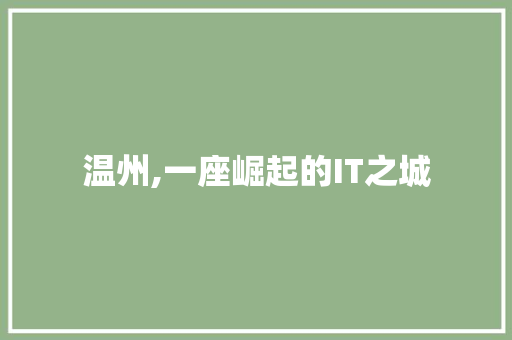 温州,一座崛起的IT之城