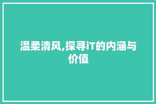 温柔清风,探寻iT的内涵与价值