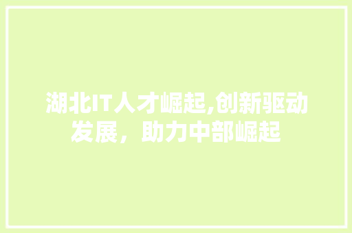 湖北IT人才崛起,创新驱动发展，助力中部崛起