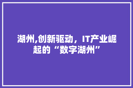 湖州,创新驱动，IT产业崛起的“数字湖州”