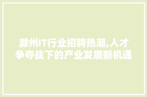 滁州IT行业招聘热潮,人才争夺战下的产业发展新机遇