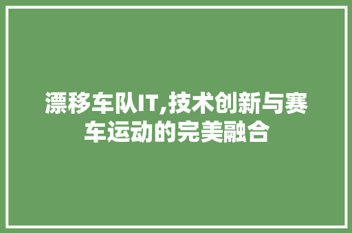 漂移车队IT,技术创新与赛车运动的完美融合
