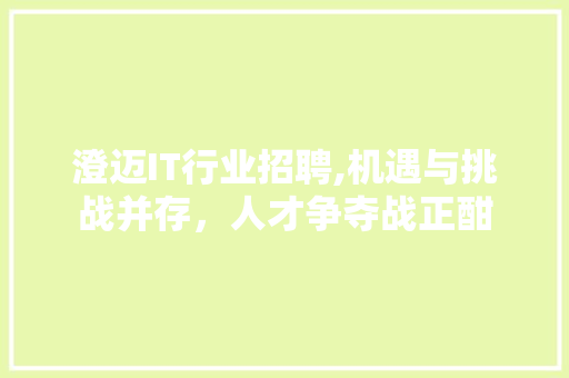 澄迈IT行业招聘,机遇与挑战并存，人才争夺战正酣