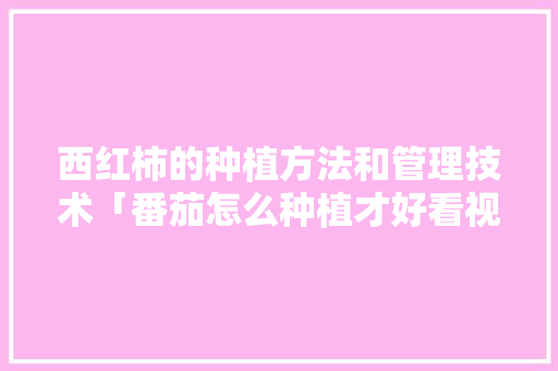 西红柿的种植方法和管理技术「番茄怎么种植才好看视频」 西红柿的种植方法和管理技术「番茄怎么种植才好看视频」 植物种类