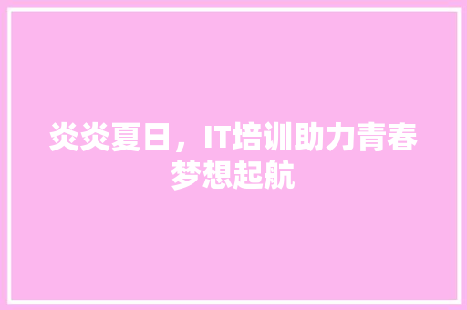 炎炎夏日，IT培训助力青春梦想起航