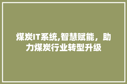 煤炭IT系统,智慧赋能，助力煤炭行业转型升级