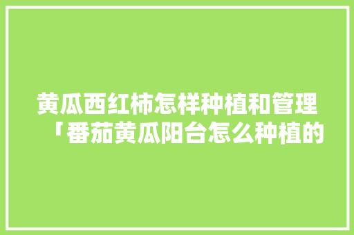 黄瓜西红柿怎样种植和管理「番茄黄瓜阳台怎么种植的视频」 黄瓜西红柿怎样种植和管理「番茄黄瓜阳台怎么种植的视频」 植物种类
