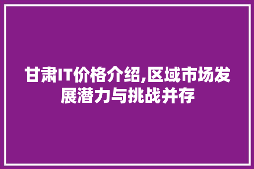 甘肃IT价格介绍,区域市场发展潜力与挑战并存