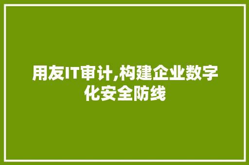 用友IT审计,构建企业数字化安全防线